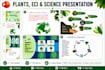 do professional powerpoint presentation and slides
