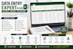 do excel data entry and data cleaning