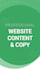 write SEO blog article and website content