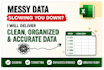 clean and format your excel data professionally