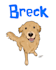 draw your pet as a silly cartoon