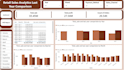 create professional power bi dashboards and data analytics