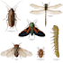 do realistic insect illustrations