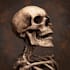 create unique skull artwork for tattoos and merchandise
