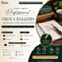 write professional urdu and english articles and blog posts