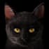 create 3d animal model pet, creature with realistic fur, xgen hair and texture