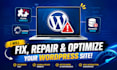 fix wordpress critical errors and troubleshoot issues