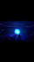 create concert visuals, led screen animations, laser projection, event visuals