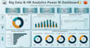 do professional data analysis and create dashboards