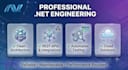 develop custom asp net core features for your application