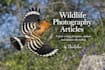 write professional wildlife photography articles
