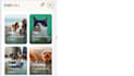 create a modern responsive HTML e commerce website template