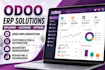 do odoo implementation, customization, erp setup and inventory management