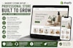 set up a professional shopify store ready to launch