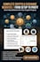 design responsive crypto meme coin website