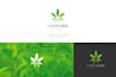 design a professional cannabis and marijuana logo