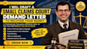 draft a small claims demand letter to recover money