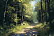 create fantasy environment concept art