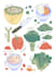 create digital food illustration