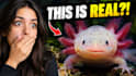 design a clickable youtube thumbnail