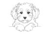 draw custom pet portrait in line art vector illustration