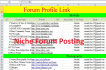 do 10 High PR Niche Forum Posting