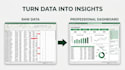 create a professional excel dashboard and mis report