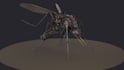 create 3d modelling, animation, and rigging