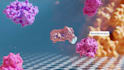 create 3d pharmaceutical moa and drug mechanism animation