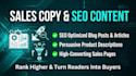 do professional website content writing, SEO content writing