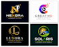 do a professional business logo design