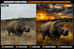 professionally enhance and edit your photos