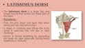 create professional medical powerpoint presentations