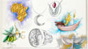 make a quick jewelry sketch and design your concept