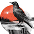 draw artistic linocut illustration
