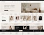 design a professional shopify store