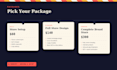 design a professional shopify store