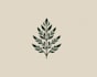 design elegant hand drawn botanical boho logo design