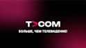design professional custom logo animation