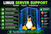 set up, configure, and troubleshoot your linux server