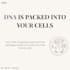 design professional canva educational carousels