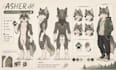create a custom furry reference sheet and fursona character design furry oc
