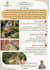 create an engaging school magazine and editorial layout
