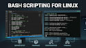 write bash scripts to automate linux server tasks