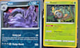 draw you a custom pokemon trainer tcg card illustration