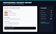 perform a professional web security audit and vulnerability assessment