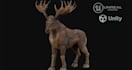 model realistic3d creature model, 3d dragon model, animal or beast for 3d print