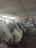 source anping wire mesh 100 factory checked cheaper than alibaba