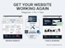 fix wordpress ecommerce website bugs
