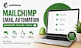 set up mailchimp email automation and newsletters